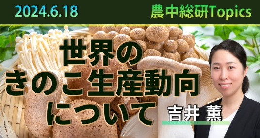 2024年6月18日「世界のきのこ生産動向について」