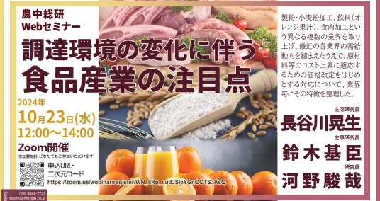 20241023Webセミナー 「調達環境の変化に伴う食品産業の注目点－食肉、小麦加工製品、果汁飲料を事例に－」